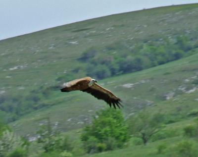 Прикрепленное изображение: ooo2.jpg